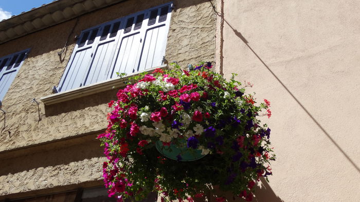 2014_07020339 - Valensole