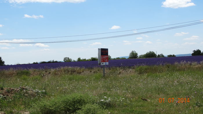 2014_07020407 - Valensole