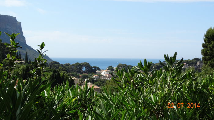 2014_07020501 - Cassis