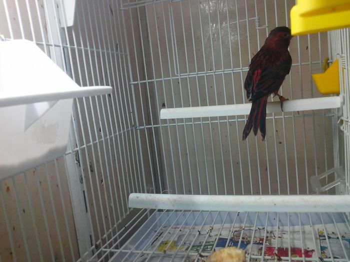 10313542_467475873397625_8375477650221833042_n