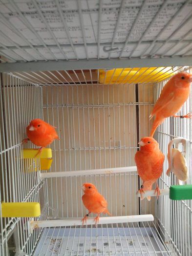 10365885_478557718956107_8812064783599842827_n