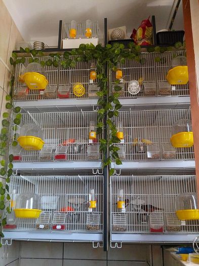 10424234_492316810913531_42013059960587547_n