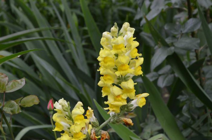 10356340_580780365352989_779714580149822842_n