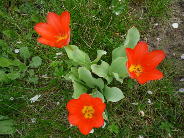 P1180146