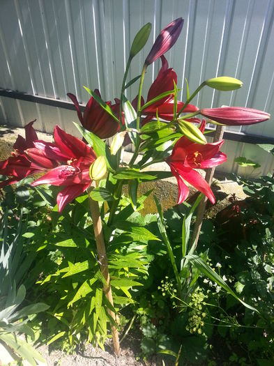 20140705_105553