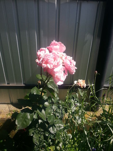 20140705_105600