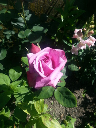 20140705_105642