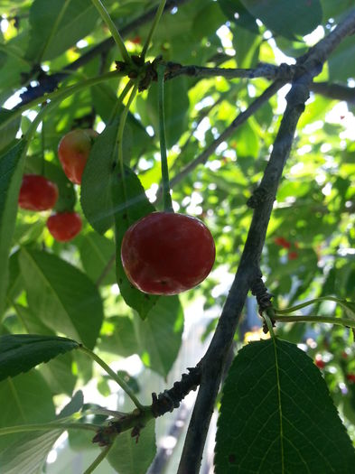 20140705_105839