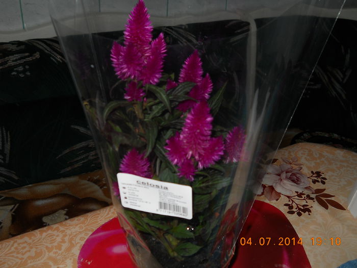 004 - ACHIZITII 2014