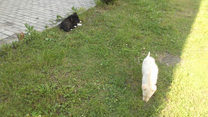 DSCF5342 - Cei mai buni prieteni