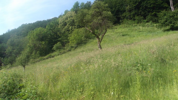 DSCF5251