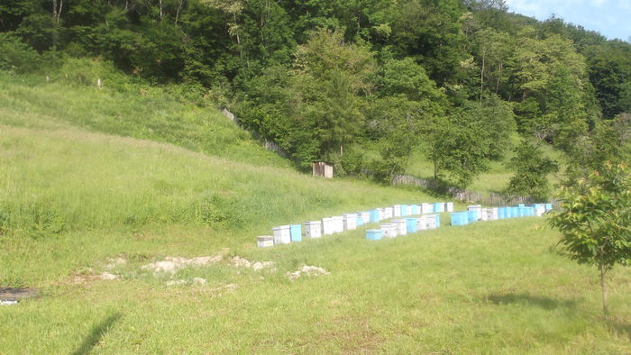 DSCF5264