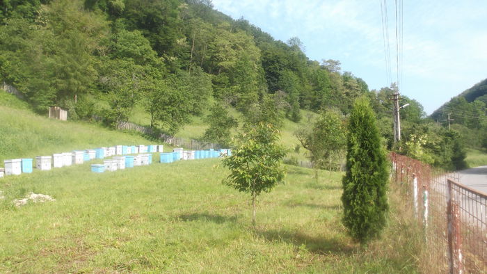 DSCF5265