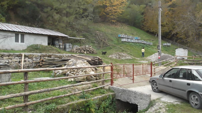 DSCF4846 - Boiu- de vara 2013 pana primavara 2014