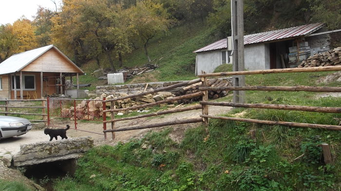 DSCF4852