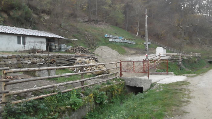 DSCF4869