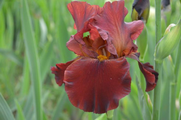 10298663_575653865865639_8473534125088772026_n