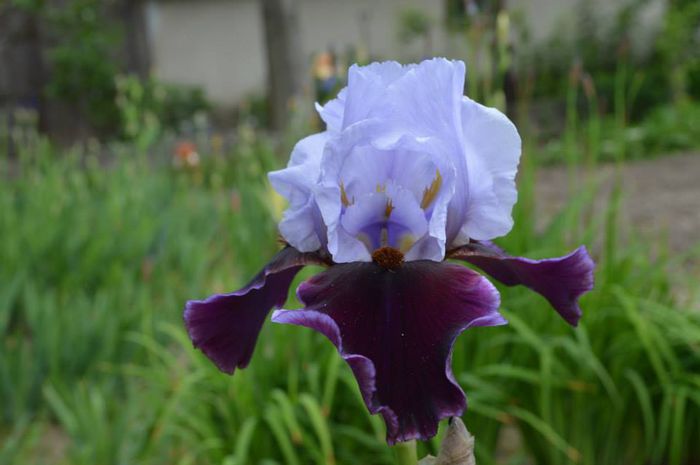 10301282_575653635865662_1540987454405477278_n