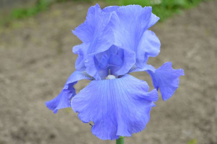 10390518_575654055865620_7425415374338471266_n