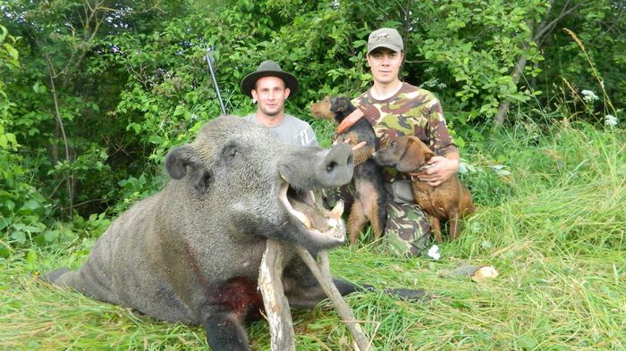 Szaki, utankereses .