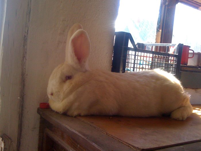 La aproape 7 luni