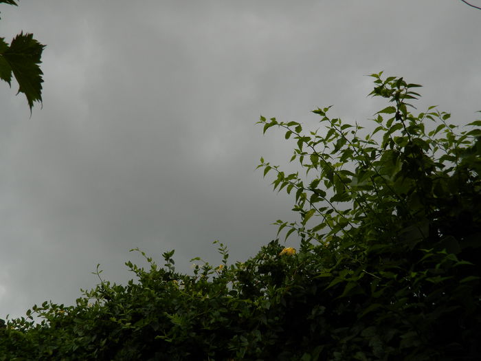 DSCN9968