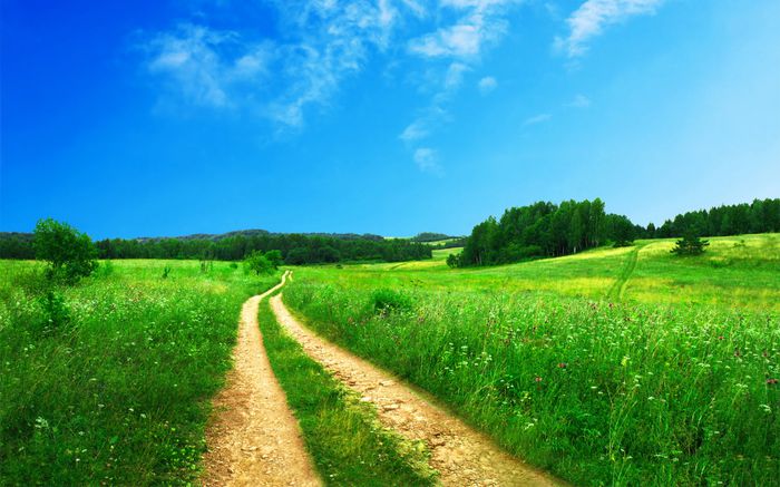 beautiful_scenery-1920x1200 - POZE DESKTOP 2015