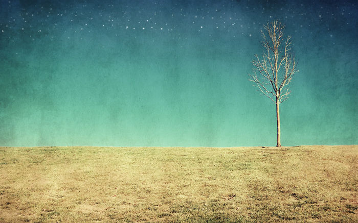 dream_by_day_wp_by_dreamerseven - POZE DESKTOP 2015