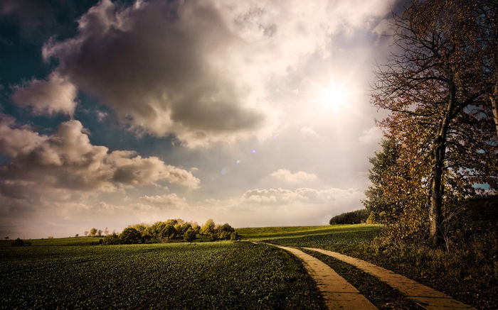 meadow-with-road(www.thewallpapers.org) - POZE DESKTOP 2015