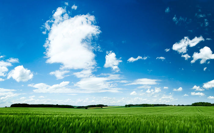 summer_wallpaper_by_emats - POZE DESKTOP 2015
