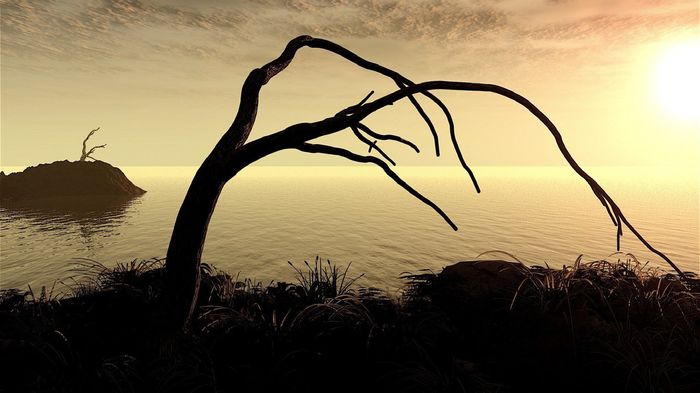 withered-tree-1080x1920 - POZE DESKTOP 2015