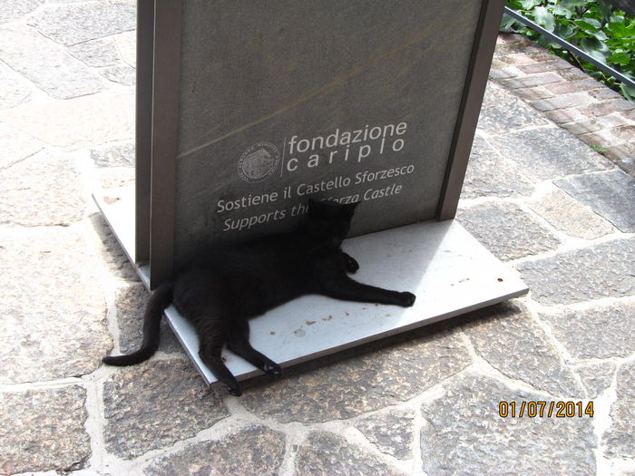 IMG_6519 - la pas prin Milano