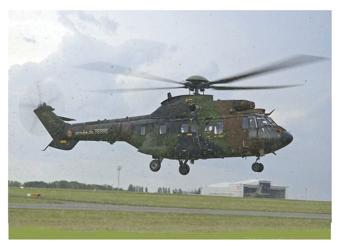 AS-352 Cougar - Elicoptere  militare