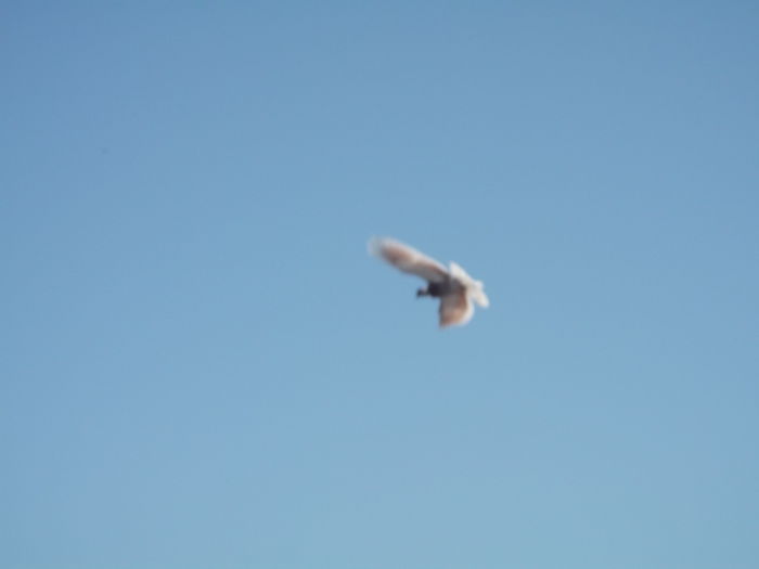 Picture 2926