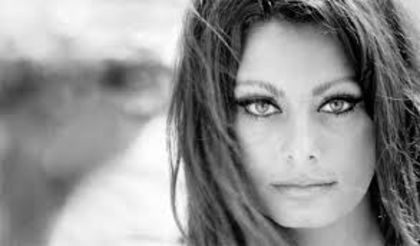 descărcare (1) - Sophia Loren