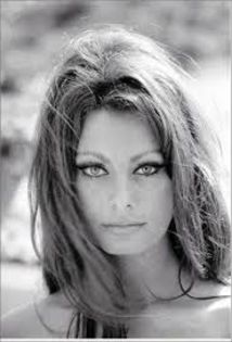 descărcare (2) - Sophia Loren