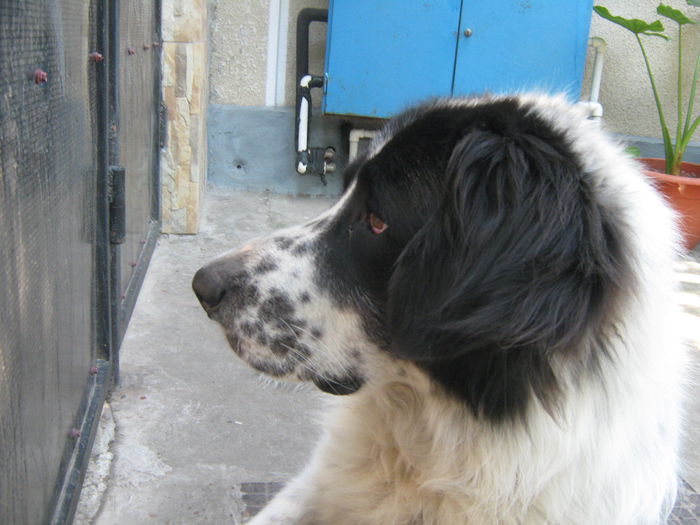 Picture My plants 354 - Luna Iulie 2014