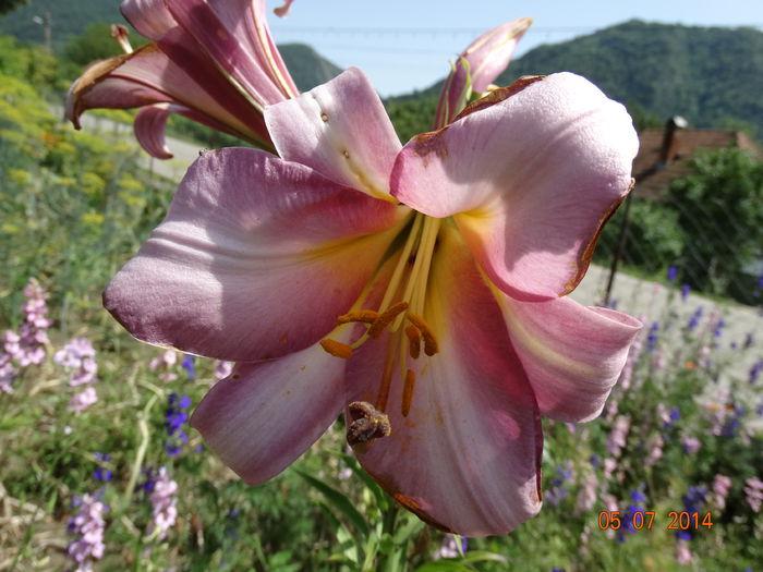 DSC05708