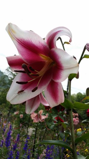 20140706_144511
