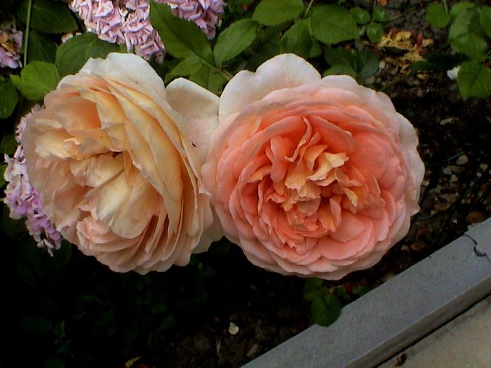 DSC00775 - Abraham Darby