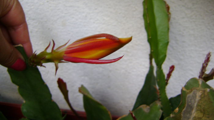 DSC01199