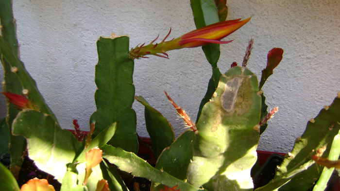 DSC01280