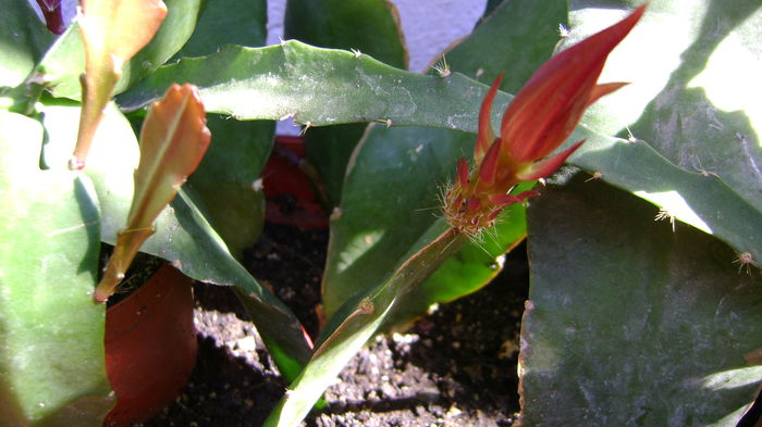 DSC01281