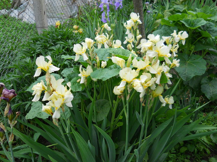 DSCN0280