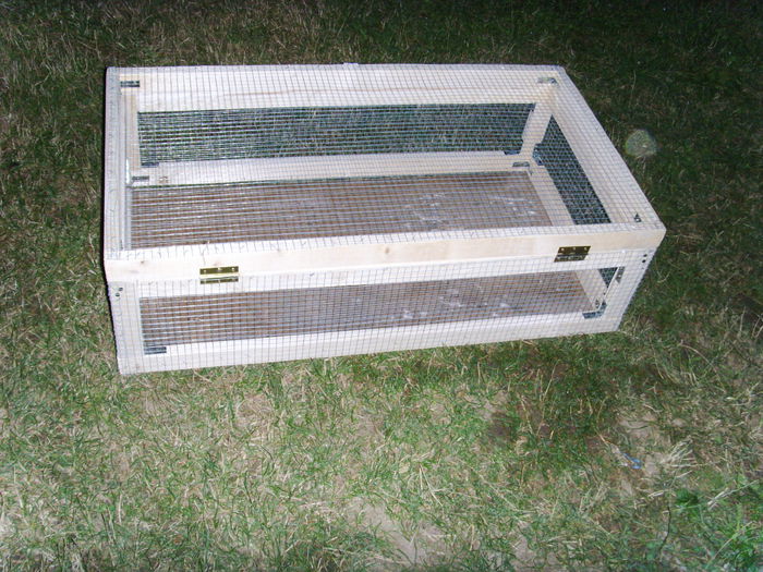 cusca iepuras1.sunphoto.ro pentru transport iepuri - Cusca pentru transport iepuri