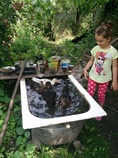 934753_10203502814906068_7436566806577830270_n