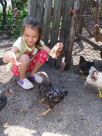 10404384_10203502463377280_1634049720111944783_n