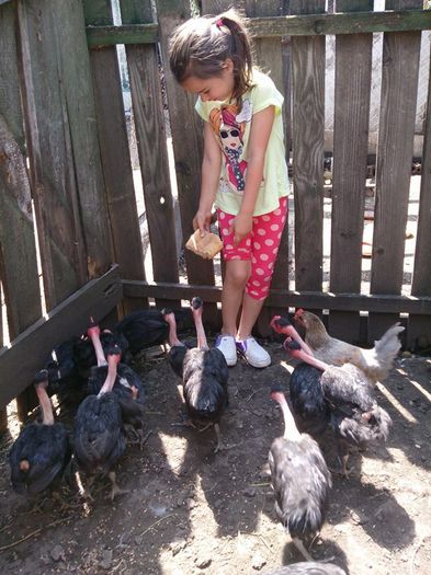 10514748_10203502466577360_4063308971346733838_n (1)