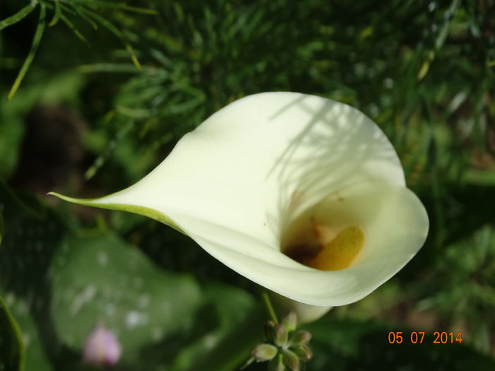 DSC05716