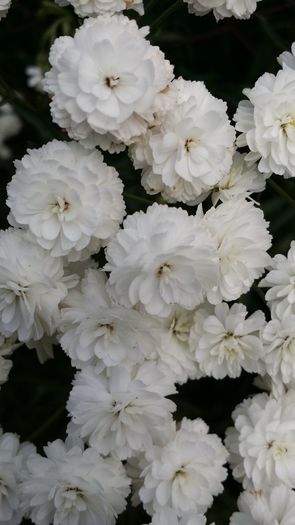20140706_142843